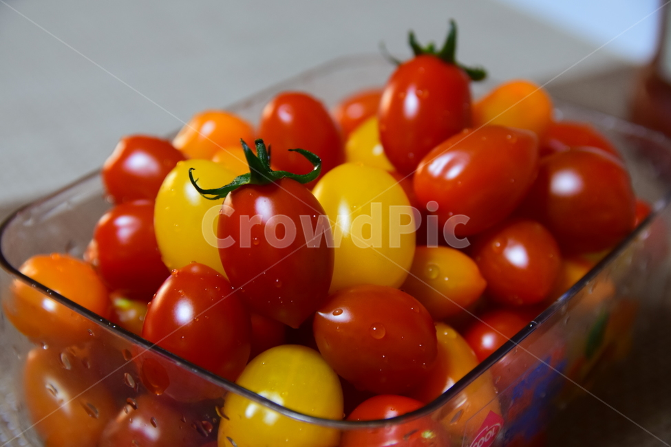 토마토,방울토마토,대추토마토,열매,채소,맛있는,탐스러운,tamato,fruits,음식,식재료,음식재료,음식,식재료,요리,food,cook,meal,dishes,food reserves,채소,야채,vegetables