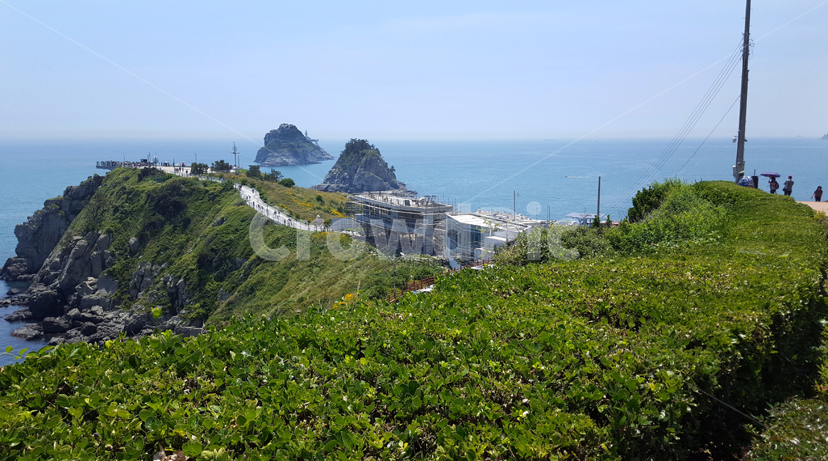 nature,자연,풍경,scenery,봄,바다,오륙도