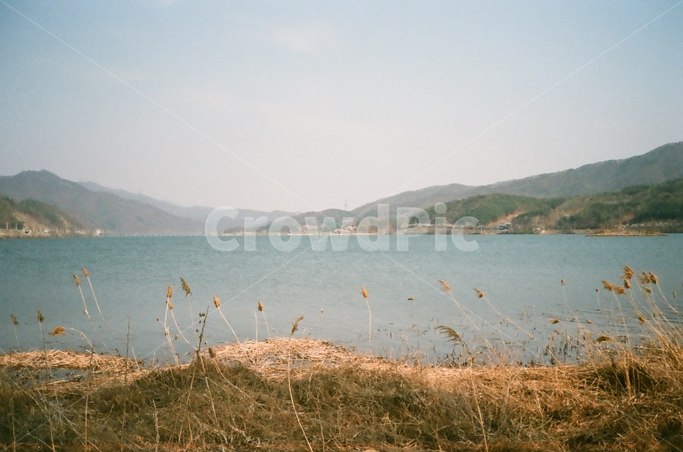 필름사진,가을,두물머리,강,자연,자연,풍경,nature,landscape,water,물,reservoir,저수지,outdoors,옥외
