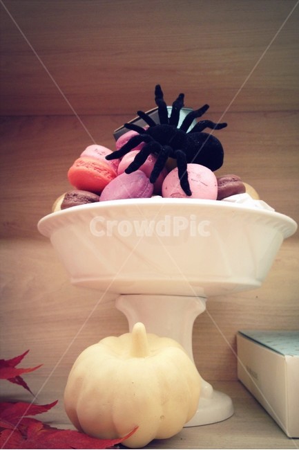할로윈,쿠키,호박,거미,인테리어,장식,단풍잎,그릇,halloween,food,dessert