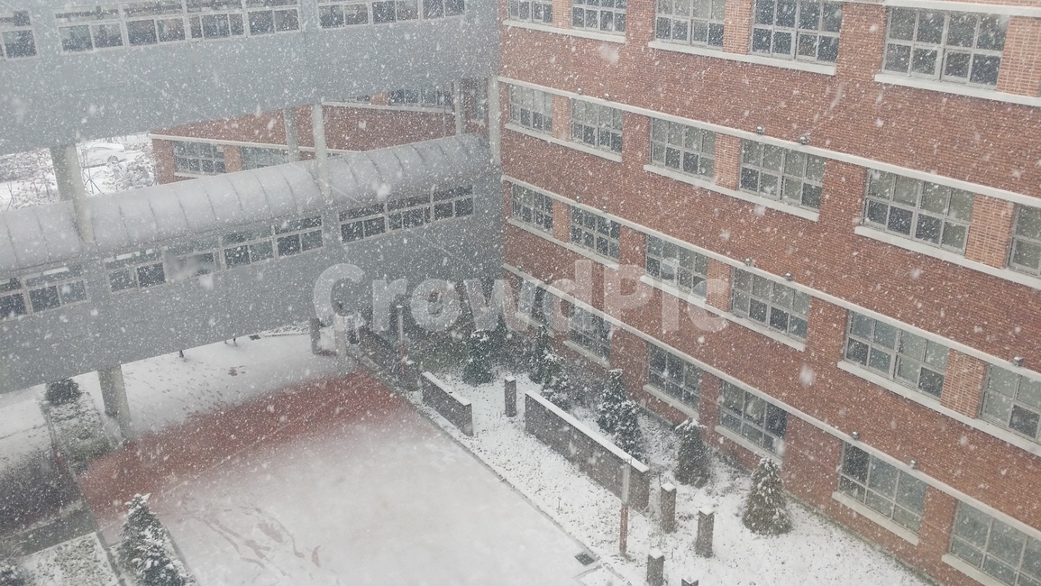 학교,눈,겨울,계절,나무,school,snow,winter,season,tree,겨울,계절,winter,season,건축물,건물외관,exterior,building,structure,architecture,construction