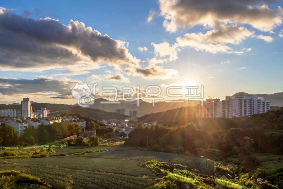 flare,blue sky,countryside scenery,field farming,green onion field,countryside view,field scenery,sun,shine,sunlight,light,sunset,puffy clouds,nightfall,field work,rural landscape,Rural view
