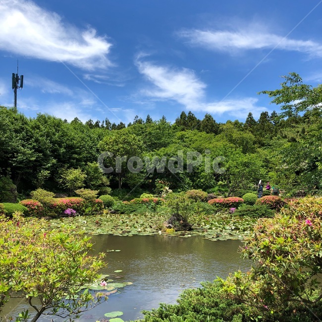 구름,자연,하늘,호수,nature,land,outdoors,water,제주도