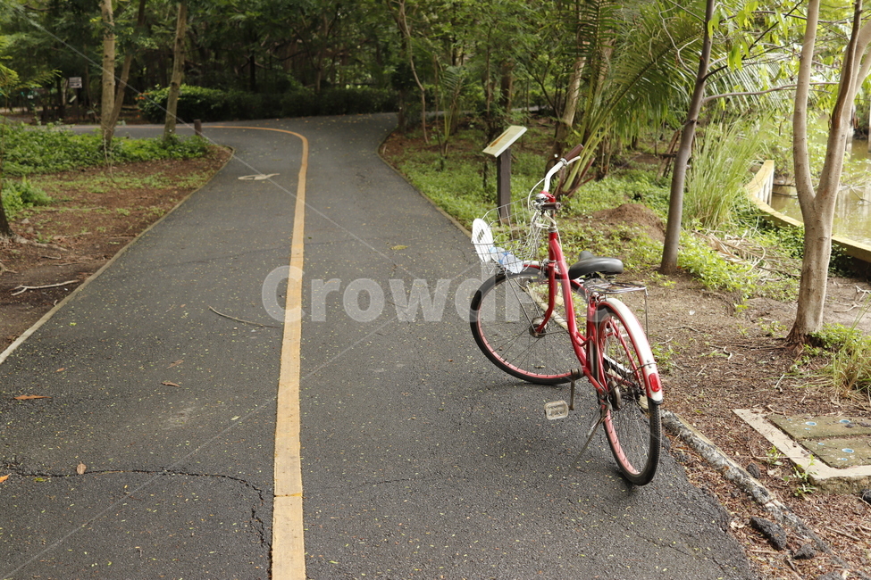 bicycle,자전거,bike,공원,park,길,나무