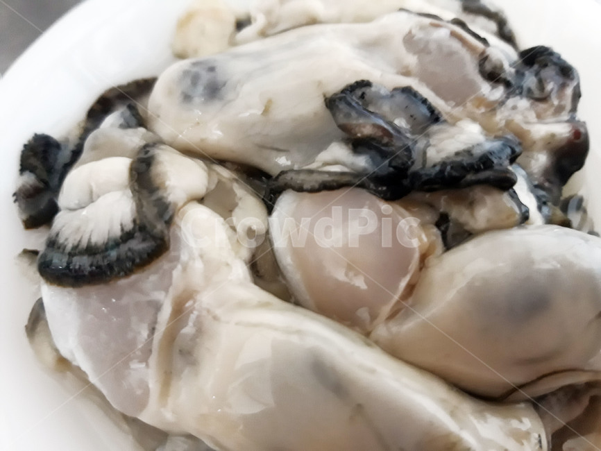 굴,회,해산물,생굴,음식,안주,겨울음식,한국음식,한국요리,식재료,요리,food,cook,meal,dishes,수산물,seafood,겨울,음식,식재료,요리,food,cook,meal,dishes,food reserves,수산물,해산물,fishery products,seafood