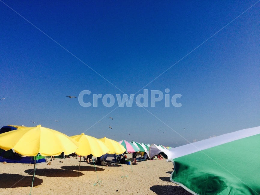 구름한점없는,하늘,파라솔,갈매기,바닷가,해변,바다,beach,sea