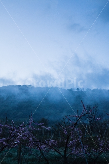 안개,곡성,푸른,어두움,산,자연,풍경,nature,landscape,outdoors,옥외,mountain range,산맥,mountain