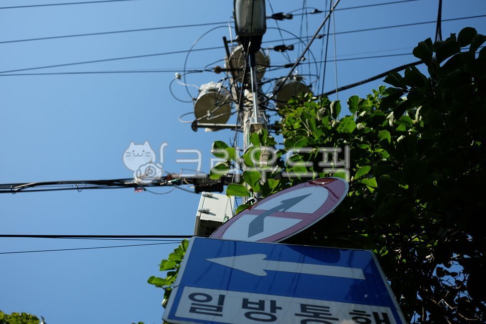 일방통해,표지판,도로,교통,전신주,케이블,cable
