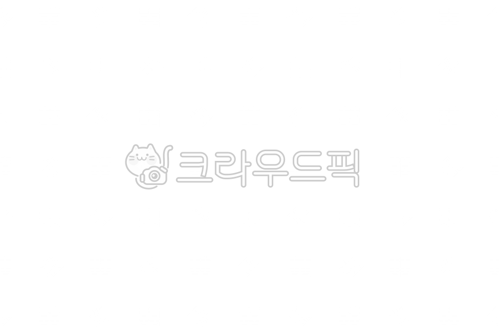 Korean tradition,Korean pattern,traditional pattern,traditional motif,traditional design,Korea,tradition,pattern,motif,design,Korean traditional pattern,Korean traditional design,Asia,East Asia,retro,vintage,design,decoration,background,