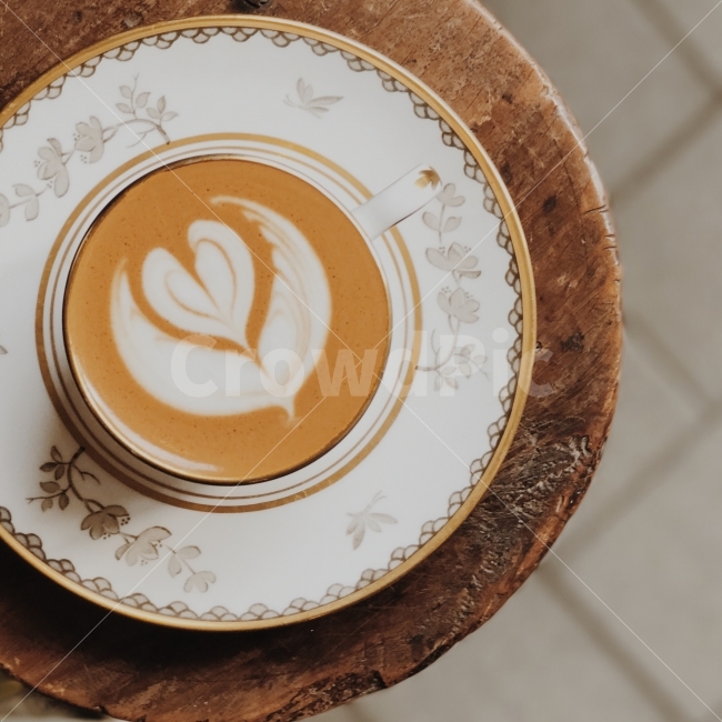 튤립,꽃,아침햇살,커피한잔,여유,커피,카페,coffee,cafe,감성,sensible,feeling