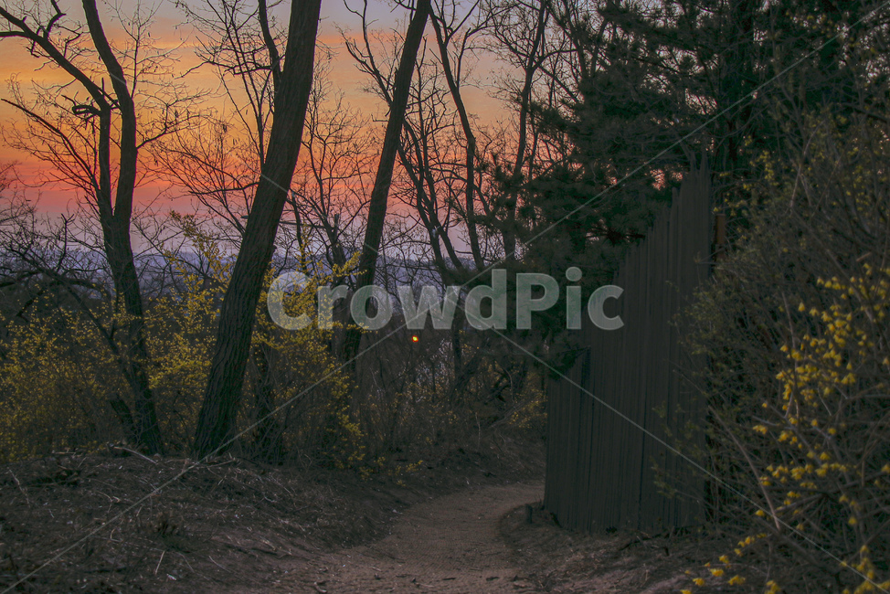 노을,산책로,등산로,산책길,일출,sunset,magichour,매직아워,해넘이,해돋이,산,북악산