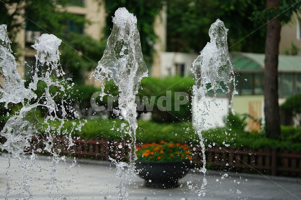 분수,물,물줄기,여름,계절,water,순간,순간포착,더위,summer,여름,계절,summer,season,fountain