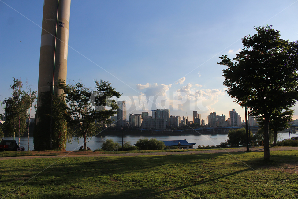 다리,뚝섬,유원지,한강,강,공원,산책,소풍,피크닉,봄,도시,풍경,city,landscape,한국도시풍경,한국도시경관,korea cityscape,plant,식물,grass,잔디