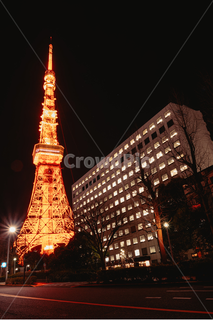 도쿄,도쿄타워,랜드마크,일본,야경,tokyo,japan,nightscape,야경,밤,풍경,nightscape,night,landscape,랜드마크,landmark,tourist attraction,해외,외국,세계,foreign,oversea,world,세계랜드마크,해외랜드마크,외국랜드마크,world landmark,world tourist attraction,건축물,건물외관,exterior,building,structure,architecture,construction,건물,town,도시,urban,어반,downtown,도심,city,시티,tower,탑,metropolis,중심지