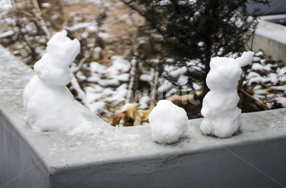 snow,눈,눈사람,snowman,겨울,winter