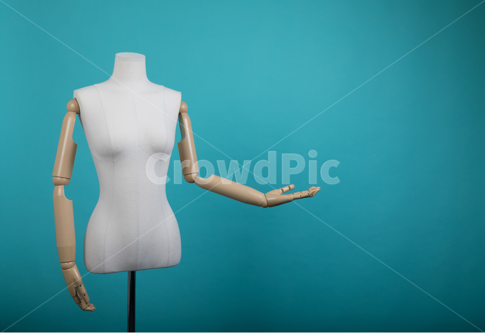 손,잡아,인간,마네킹,인공,손가락,팔,관절,손톱,hand,hold,human,mannequin,artificial,finger,arm,joints,nail,background,손,제스처,표시,손짓,표현,gesture,hand,sign,expression,사물,물건,오브젝트,thing,object,matter