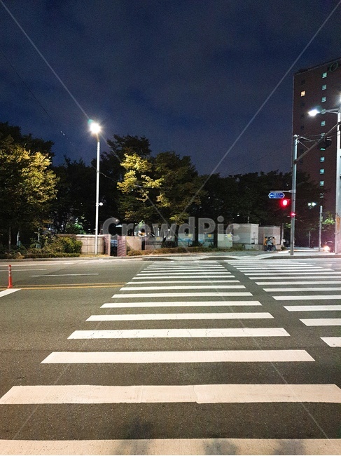 아스팔트,asphalt,road,인간,person,야경,밤,풍경,nightscape,night,landscape