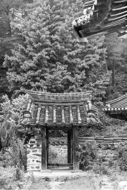 고택,전통,한국의미,기와,선,지붕,전통가옥,추녀,처마,행랑채,대문,한국전통,한국문화,korean traditional,korean culture,흑백,모노톤,monochrome,black and white,건축물,건물외관,exterior,building,structure,architecture,construction