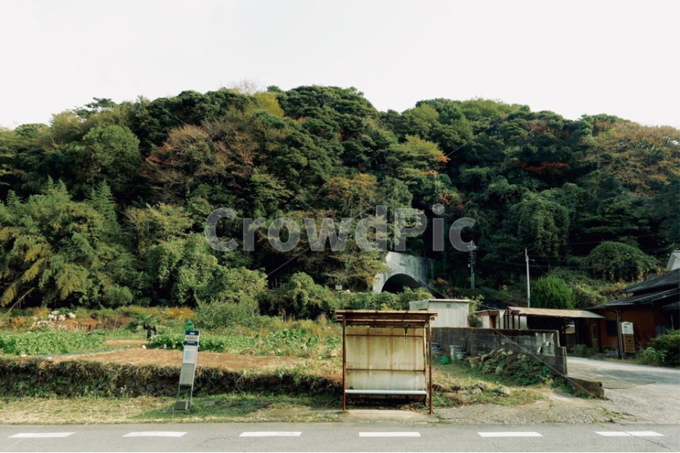 일본,풍경,배경,감성,일본감성