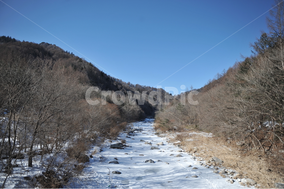 나무,겨울,오대산,국립공원,강원도,진부,겨울풍경,계곡,자연경관,자연,겨울나무,눈,겨울,계절,winter,season,자연,풍경,nature,landscape,한국자연풍경,한국자연경관,korea nature landscape,water,물,outdoors,옥외,stream,흐름,creek,작은 만