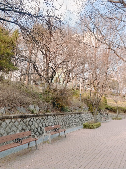 공원,벤치,의자,나무,하늘,구름,자연,nature,sky,tree,park,산책,산책로,bench,오후,afternoon