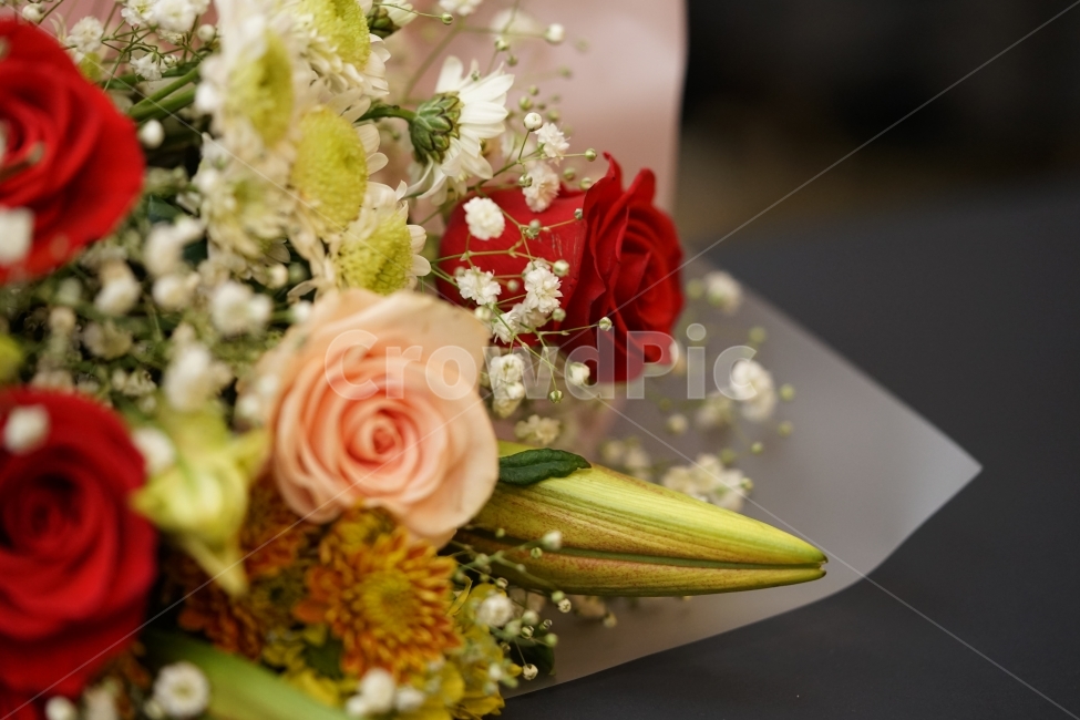 장미,꽃,플라워,flower,꽃다발,감성,감성샷,식물,생명,아름다움,뷰티,미,원색,색감,화려함,선물,감성사진,접사,느낌,감각,레드,식물,자연,plants,nature,꽃,flower,기념일,축하,anniversary,congratulation,celebrate,celebration