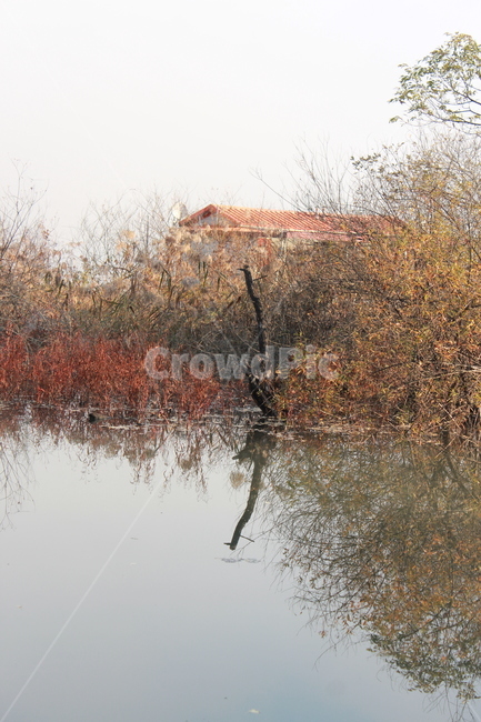 nature,자연,outdoors,옥외,tree,plant,집,풀,호수,저수지,반영,자연,풍경,nature,landscape