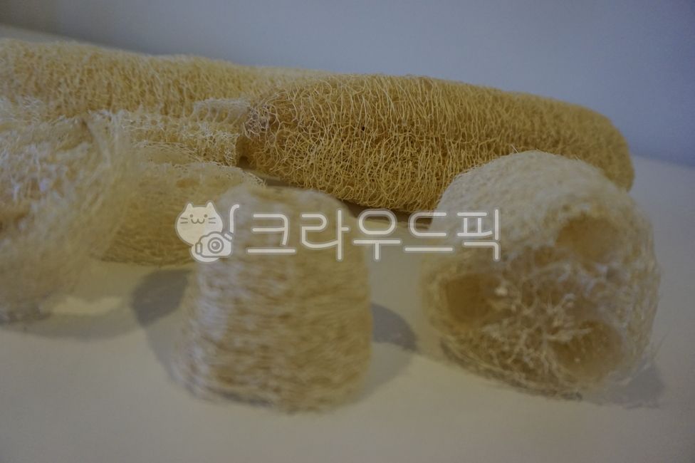 천연수세미,수세미,수세미열매,수세미말린거,식물