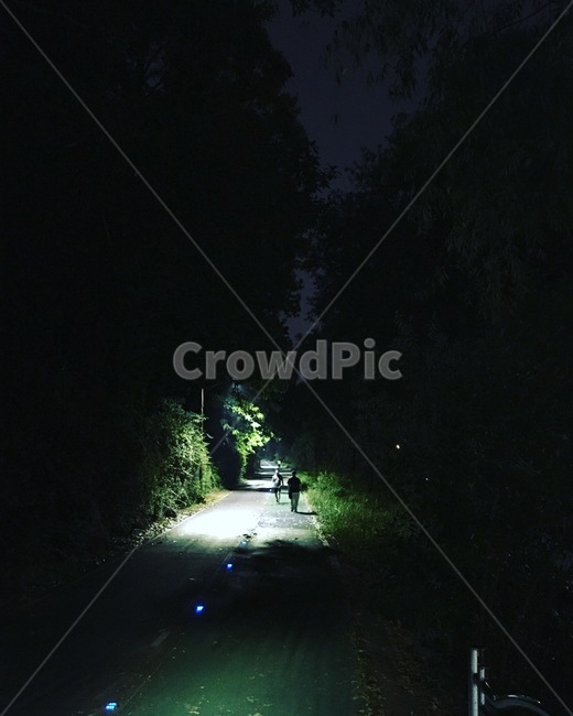 road,도로,light,빛,밤,자전거,조명,밤길