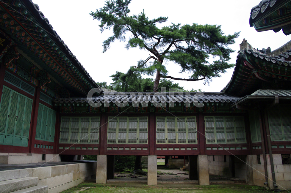 창덕궁,고궁,전각,한옥,전통가옥,기와지붕,건축,traditional,한국전통,한국문화,korean traditional,korean culture,랜드마크,landmark,tourist attraction,한국랜드마크,한국관광지,한국명소,korea landmark,korea tourist attraction,건축물,건물외관,exterior,building,structure,architecture,construction