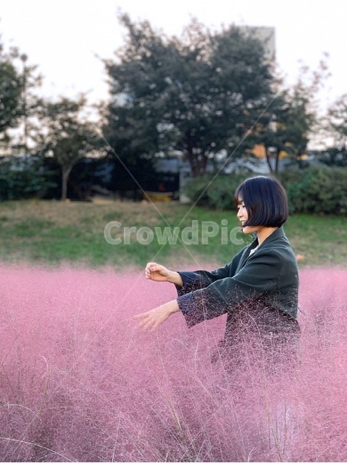 옥외,핑크뮬리,뮬리,꽃,flower,사람,인물,인간,human,person,여성,여자,woman,female,lady