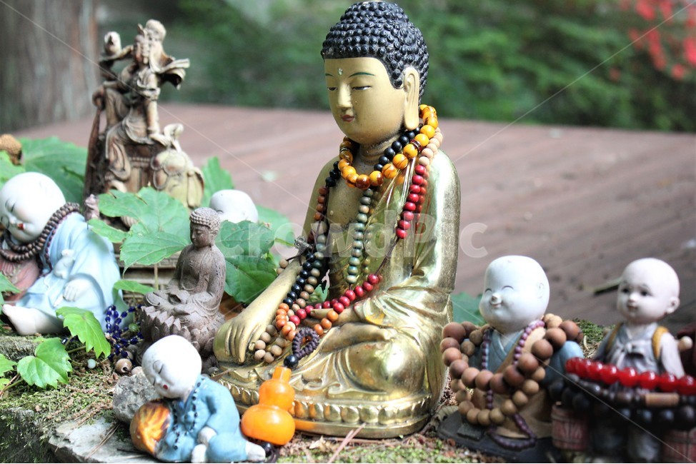 절,사찰,불상,부처,buddha,buddhist,temple,조각상,동상,석상,조형물,statue,bronze statue,stone statue,종교,신앙,religion,belief,faith