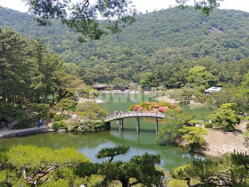 연못,호수,호숫가,정원,공원,식물,수중식물,초록,lake,garden,gardenning,gardenpark,park,plant