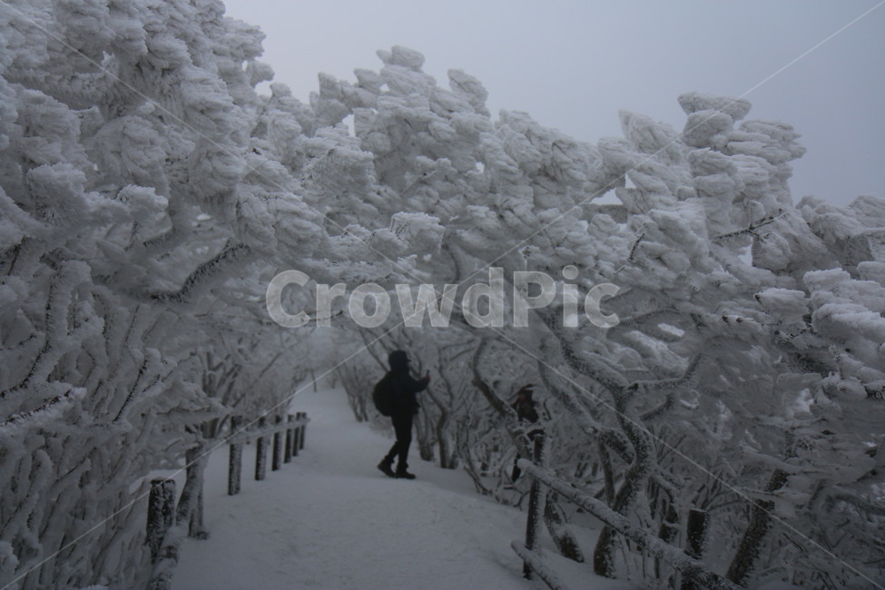 nature,자연,outdoors,snow,눈,ice,빙,겨울,계절,winter,season,자연,풍경,nature,landscape,옥외