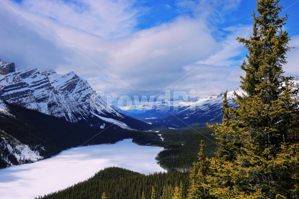 스냅,snap,풍경,landscape,여행,travel,자연,nature,겨울,계절,winter,season,자연,풍경,nature,landscape,해외,외국,세계,foreign,oversea,world,세계자연풍경,해외자연풍경,외국자연풍경,world nature landscape,tree,나무,plant,식물