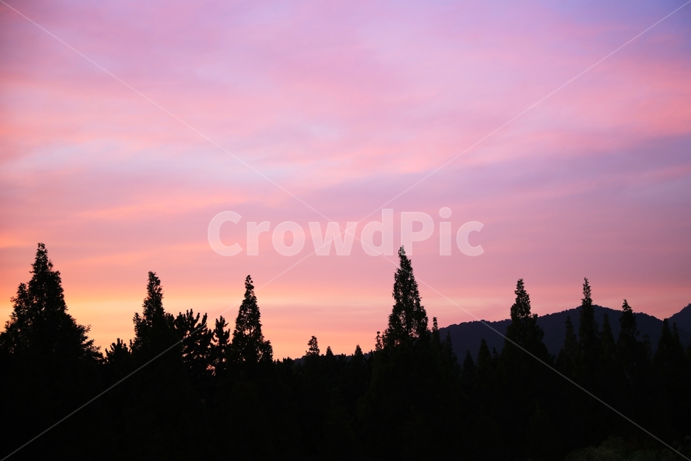 evening,landscape,romantic,scenery,sun,sunset,노을,풍경