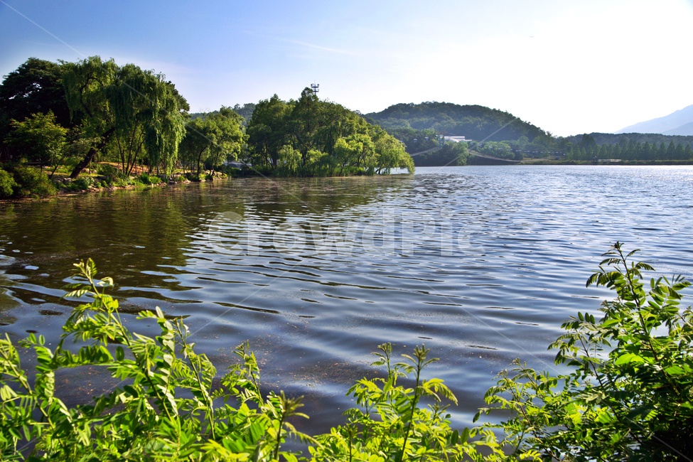 과천저수지,호수,과천대공원,과천,물결,자연,풍경,nature,landscape,water,물,outdoors,옥외,lake