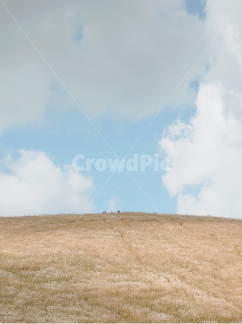 오름,제주도,갈대,가을,fall,nature,autumn,하늘,구름,가을하늘,sky,season,가을,계절,fall,autumn,season,grassland,목초지,field,들,outdoors,옥외,자연,savanna,대초원