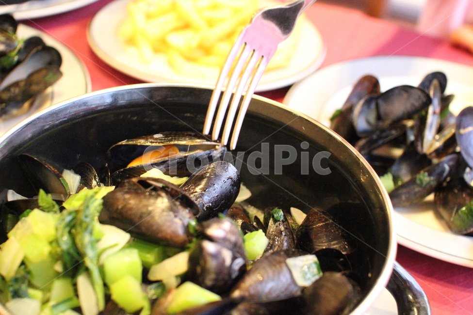 벨기에홍합요리,홍합요리,홍합찜,moules,뮤셀,벨기에뮤셀,벨기에홍합찜