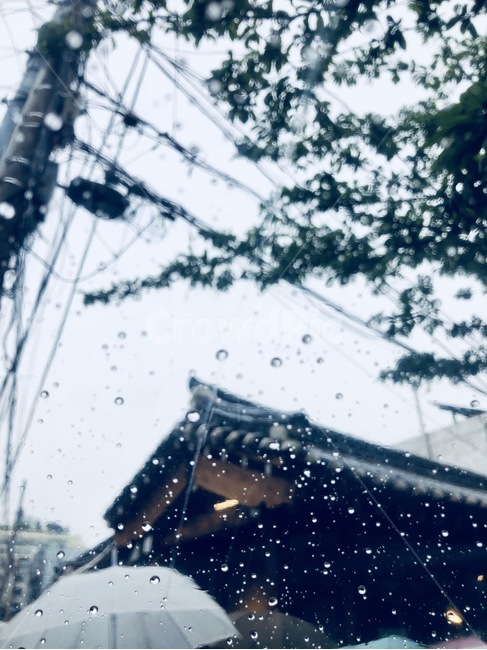 익선동,비,빗방울,우산,한옥,비,비오는날,rain,rainy