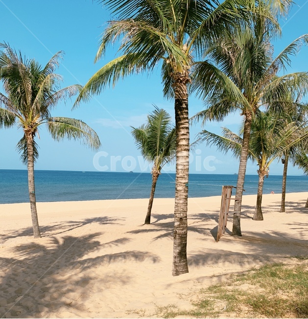 여름,summer,바다,휴가,해변,하늘,해변,바다,beach,sea