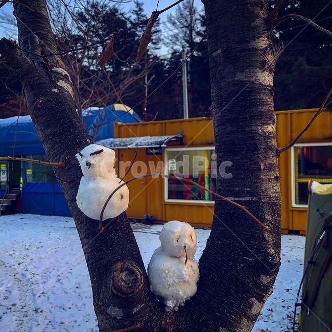 자연,snow,눈,눈사람,겨울,winter,겨울,계절,winter,season