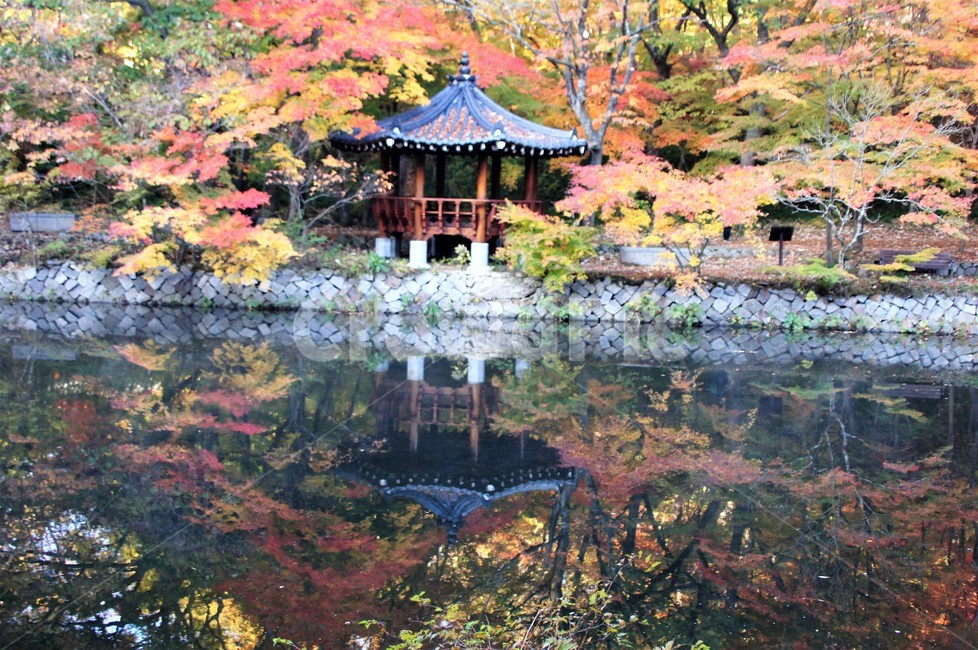 가을,단풍,나무,자연,식물,안개,저수지,감성,autumn,nature,season,emotion,풍경,자연풍경,산속,trees,정자,여름,계절,summer,season,한국전통,한국문화,korean traditional,korean culture,건축물,건물외관,exterior,building,structure,architecture,construction