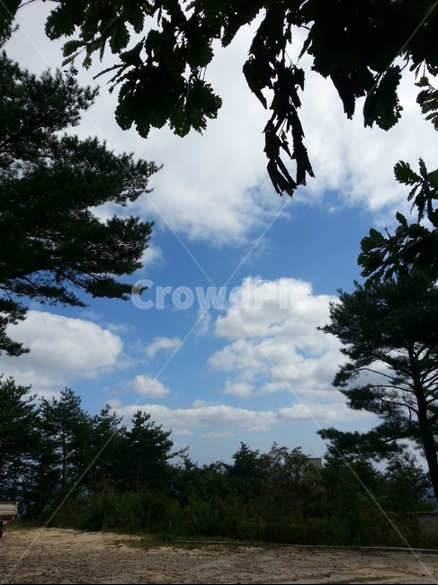휴식,나무,구름하늘,하늘,산