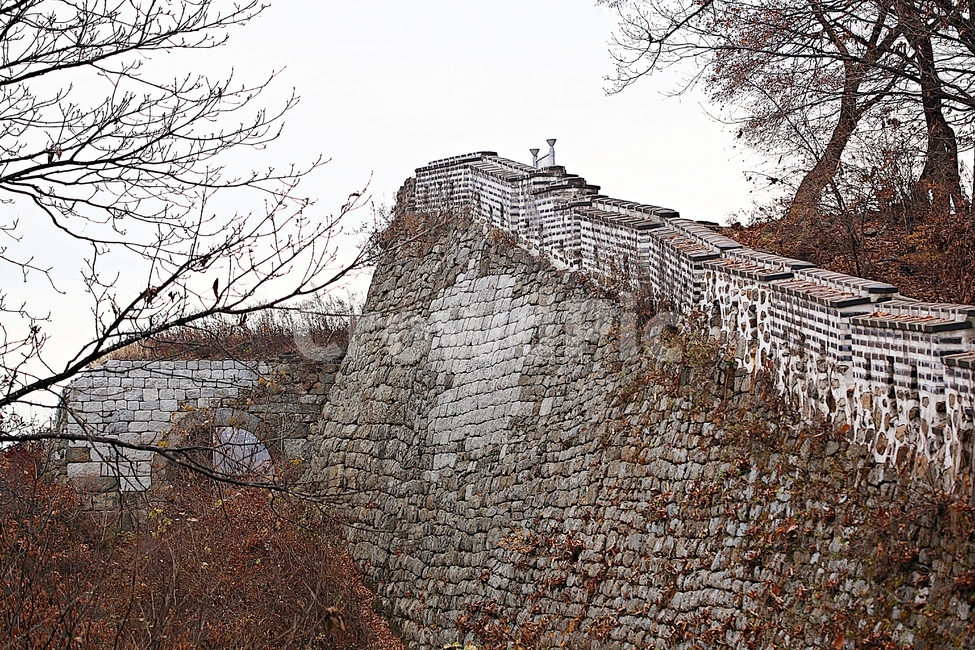 남한산성,성,성곽,단풍,낙엽,길,둘레길,숲,숲길,담,돌담,가을,자연,풍경,벽,울긋불긋,산성,식물,가을,계절,fall,autumn,season,한국전통,한국문화,korean traditional,korean culture,건축물,건물외관,exterior,building,structure,architecture,construction