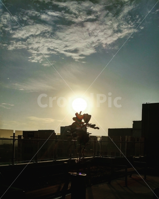 오후,풍경,아파트,그림자,노을,도시,풍경,city,landscape,실루엣,그림자,silhouette,shadow,light,빛,flare,플레어,sunlight,햇빛