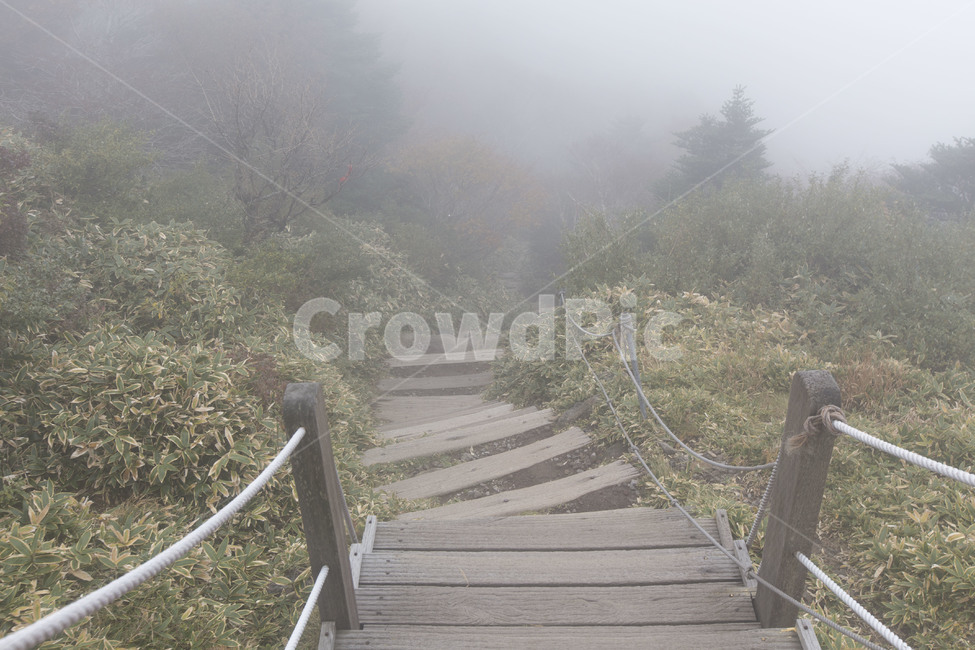 제주도,한라산,성판악,제주도등산,안개낀한라산,자연,풍경,nature,landscape,outdoors,옥외,handrail,난간,banister,weather,날씨