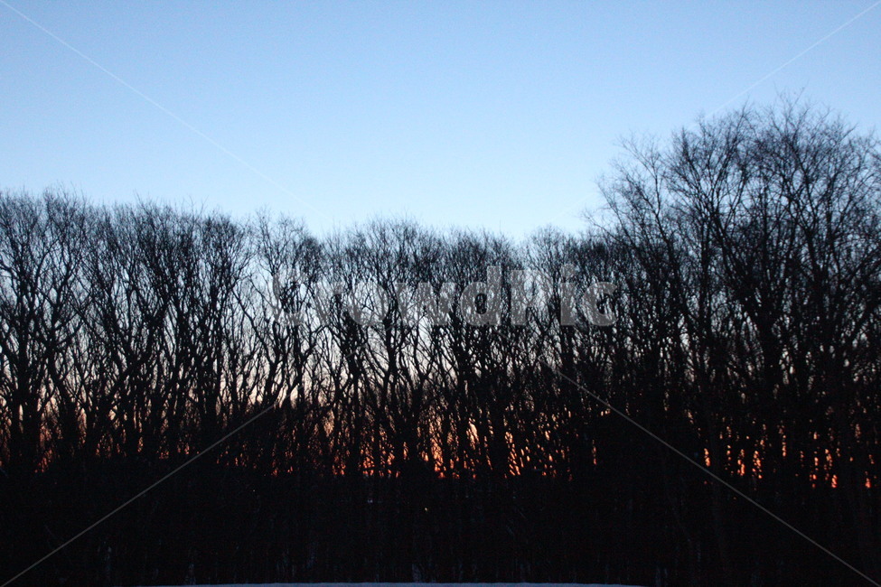 풍경,산,새벽,햇빛,아침,자연,풍경,nature,landscape,tree,나무,plant,식물