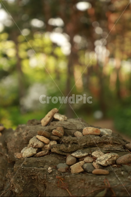 소원,야외,자연,돌맹이,돌,나무,숲,숲속,소원성취,돌탑,기도,stone,prayfor,pray,빛망울,보케,bokeh