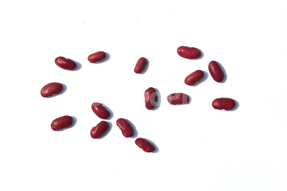 붉은콩,bean,콩,redbean,brown,closeup,dry,food,protein,red,seed,uncooked,vegetable,white,흰배경,야채,붉은색,빨강,말린,단백질,씨앗,요리재료,식재료,요리,음식,빨간색,빨간콩,음식,식재료,요리,food,cook,meal,dishes,food reserves,콩류,견과류,beans,pulse,nuts,dry fruits,누끼,remove background